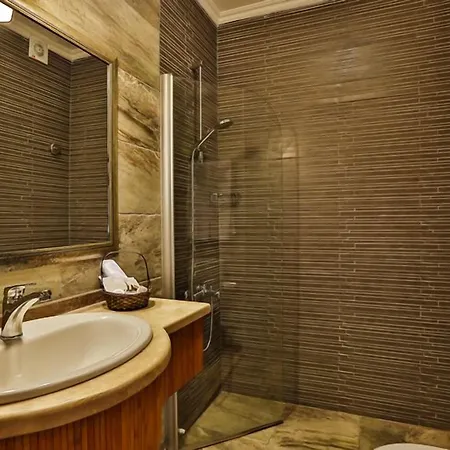 Palace Olive Odore Hotel 3*